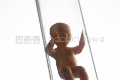 http://xian.nbgk120.com/post/209.html|西安捐卵费用
