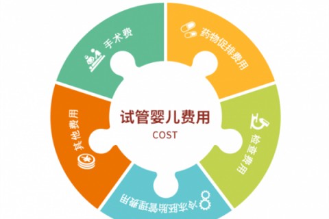 西安捐卵宝宝肚痛，父母该怎么办？